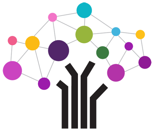 About Digital Agency